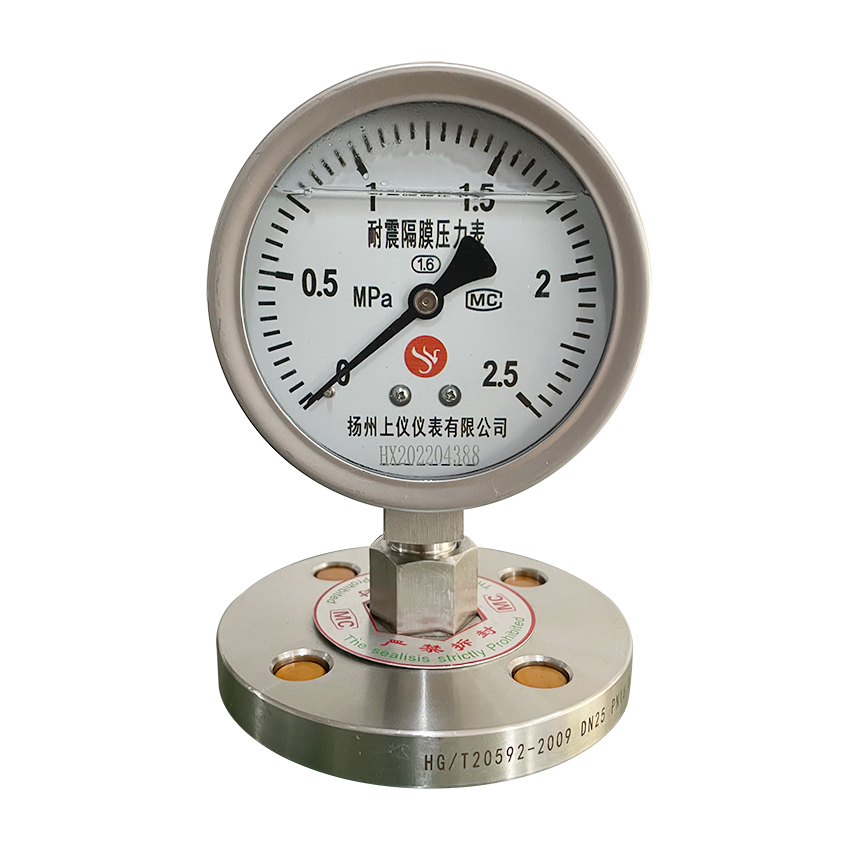 法(fa)蘭式隔膜(mó)壓力表-Y100MF